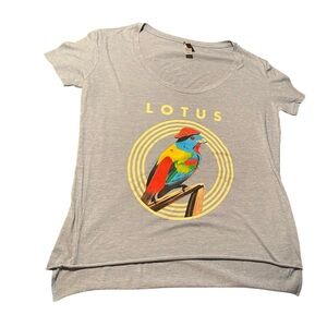 Next Level Apparel Grayish Blue T-Shirt with Colorful Bird Design